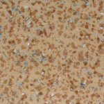Коммерческий гетерогенный линолеум ACCZENT MINERAL AS - 100011 (ширина 3 м) / Tarkett